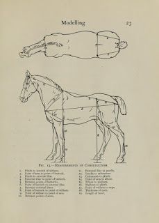 the diagram shows how to draw a horse's body and head with its legs