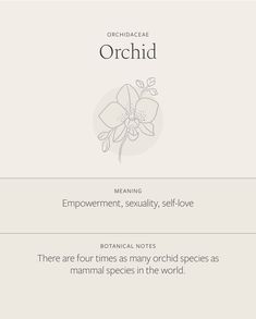 the words orchid are written in white and black on a light gray background, with an image of a flower