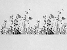 black and white drawing of flowers in the grass