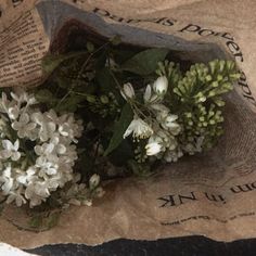 some white flowers and green leaves on top of a piece of brown paper with newspaper