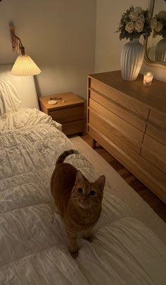 an orange cat standing on top of a bed next to a night stand and dresser