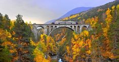 a train crossing a bridge over a river surrounded by trees with yellow and orange leaves