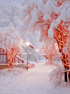 snow covered trees with lights on them in front of a white house and red awnings