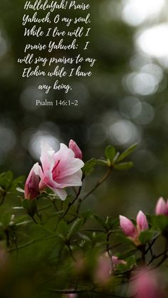 Psalm 146:1-2
HalleluYah! Praise Yahweh, O my soul. While I live will I praise Yahweh:  I will sing praises to my Elohim while I have any being. O My Soul, Bible Games, Scripture Verses, Bible Quotes