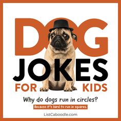 a dog wearing a top hat with the words dogs jokes for kids