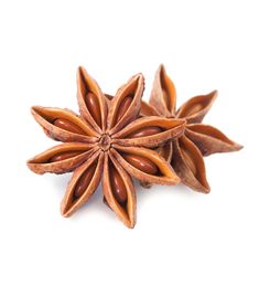 anise star on white background