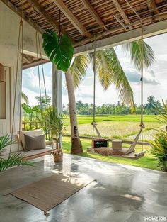 a porch with hammock chairs, palm trees and rice fields in the background