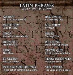 latin phrases you should know to learn in your own language, and then use them