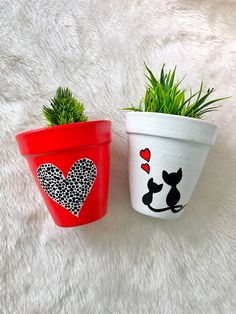 two potted plants sitting on top of a white rug next to each other with hearts painted on them