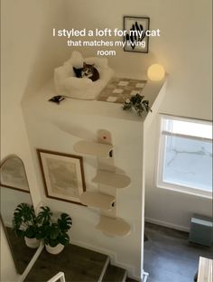 there is a cat sitting on top of the shelf in the room that matches my living room