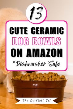 a cat eating out of a bowl with the words 13 cute ceramic dog bowls on amazon