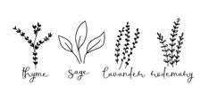 three different types of herbs with the words thye sage, lavender and rosemary on them