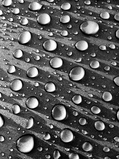 black and white photograph of water droplets on the surface