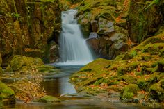 a small waterfall in the middle of a forest filled with mossy rocks and trees