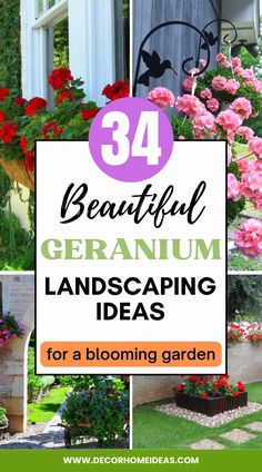 beautiful geranium landscaping ideas for a blooming garden with text overlay that reads, beautiful geranium landscaping ideas for a blooming garden