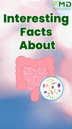 Food Intolerance Test, Gut Microbiota, Stronger Immune System, Nutrient Deficiency, Leaky Gut, Gut Microbiome, Immune Response, Improve Digestion