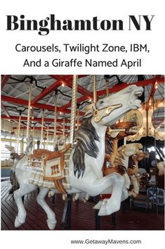 an image of a merry go round with the words brighton ny carousels, twilight zone, ibm and a giraffe named