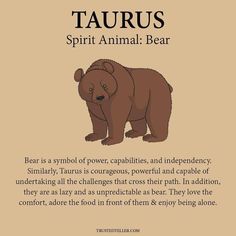 a brown bear with the caption taurus spirit animal bear