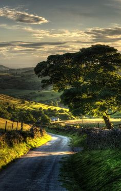 an image of a country road with trees on the side and sun shining through the clouds