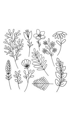 a line drawing of flowers and leaves