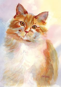 an orange and white cat sitting on top of a blue ground with clouds in the background