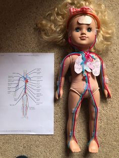 a doll laying on the floor next to a diagram