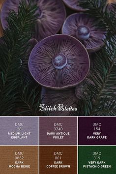 some purple mushrooms are in the middle of a pine tree with dark brown and green leaves