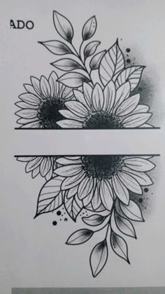 two sunflowers with leaves are shown on the side of a white sheet that says ado