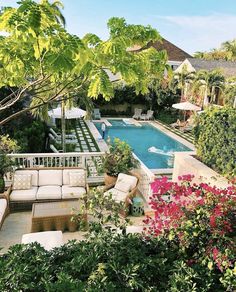 an outdoor living area with couches and tables next to a pool surrounded by greenery