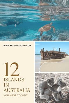 there are pictures of animals in australia and the words 12 islands in australia you have to visit