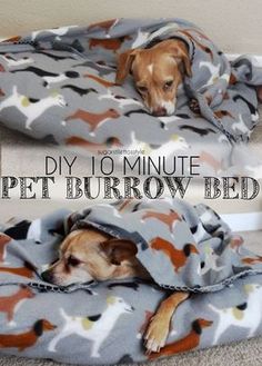 a dog laying on top of a bed covered in a blanket with the words diy 10 minute pet burrow bed