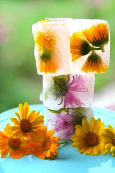 some flowers and ice cubes on a blue plate with green grass in the background