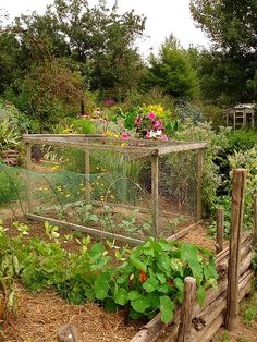 a garden filled with lots of different types of flowers and plants next to a fence