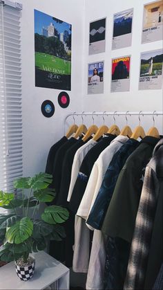 there are many shirts hanging on the rack in front of a potted green plant