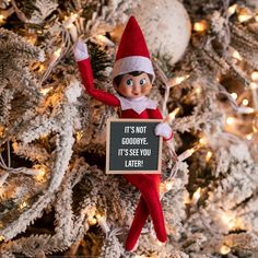 an elf holding a sign in front of a christmas tree