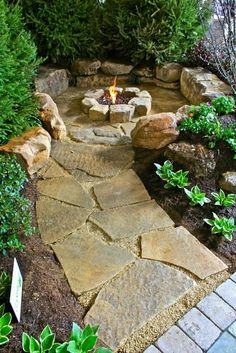 an outdoor fire pit surrounded by plants and rocks