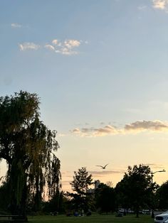 a bird flying in the sky over a park with trees and cars parked on the grass