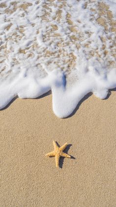 a starfish is laying on the sand at the beach