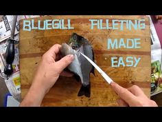 someone is cutting up something with scissors on top of a wooden board that says blueglil, fileting made easy