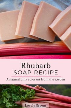 rhubarb soap recipe with pink colorant from the garden and lovely greens