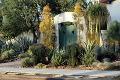 a green door surrounded by plants in front of a white building with trees and bushes around it