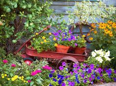 an old red wheelbarrow filled with potted flowers