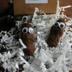 two stuffed owls sitting in shredded paper on top of a table next to a box