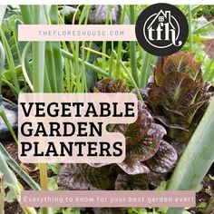 some vegetables are growing in the garden with text overlay that reads, vegetable garden planters everything to know for your best garden ever