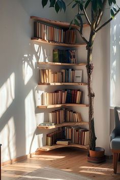 a bookshelf in the corner of a room with a potted plant on it