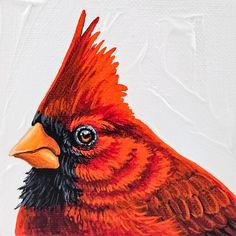 a painting of a red bird with black feathers and orange beak on a white background