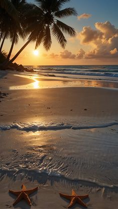 two starfishs are on the beach at sunset with palm trees in the background