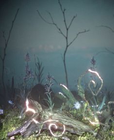 an image of some plants in the grass with lights on them and water behind it