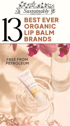 organic lip balm Lip Balm Brands, Organic Lip Balm, Natural Lip Balm, Natural Lip, Dark Lips, Chapped Lips