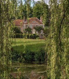 a large house sitting next to a lush green forest filled with lots of trees and bushes